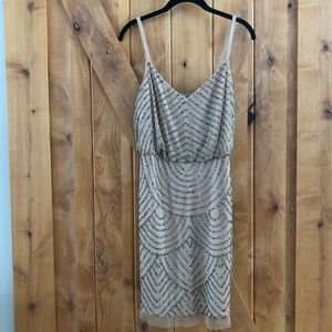 Adrianna Papell Sequin Mesh Blouson Dress